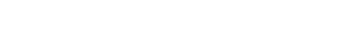 bizpoint logo